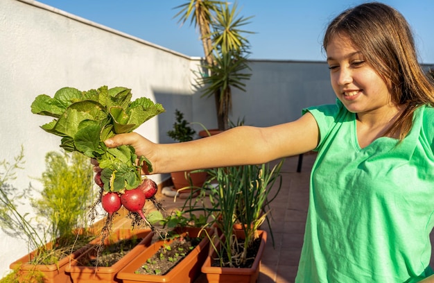 5 Melhores Motivos para Ter uma Horta Orgânica em Casa 