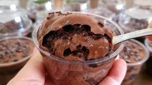 Sobremesa de Chocolate Cremosa e Crocante: Receita Fácil e Deliciosa