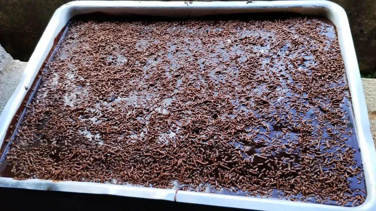 Se você procura um bolo de chocolate delicioso, macio e super molhadinho, esta receita é...