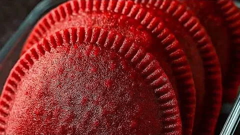 Se você procura uma receita diferente de pastel com massa apimentada, essa é a escolha...