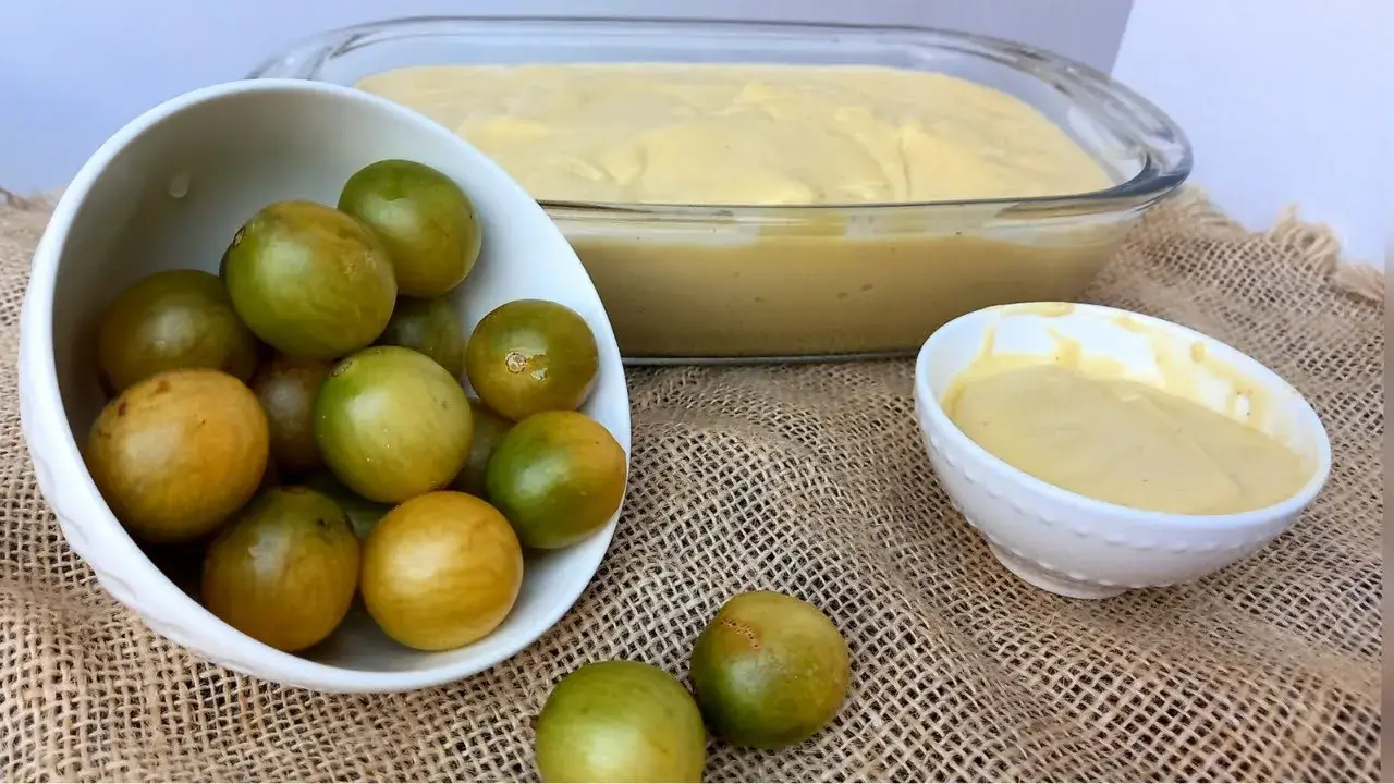 Mousse de Umbu Cremoso e Bem Azedinho [Umbuzada Cremosa]