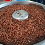 Bolo de Chocolate Caseiro com Cobertura Fácil